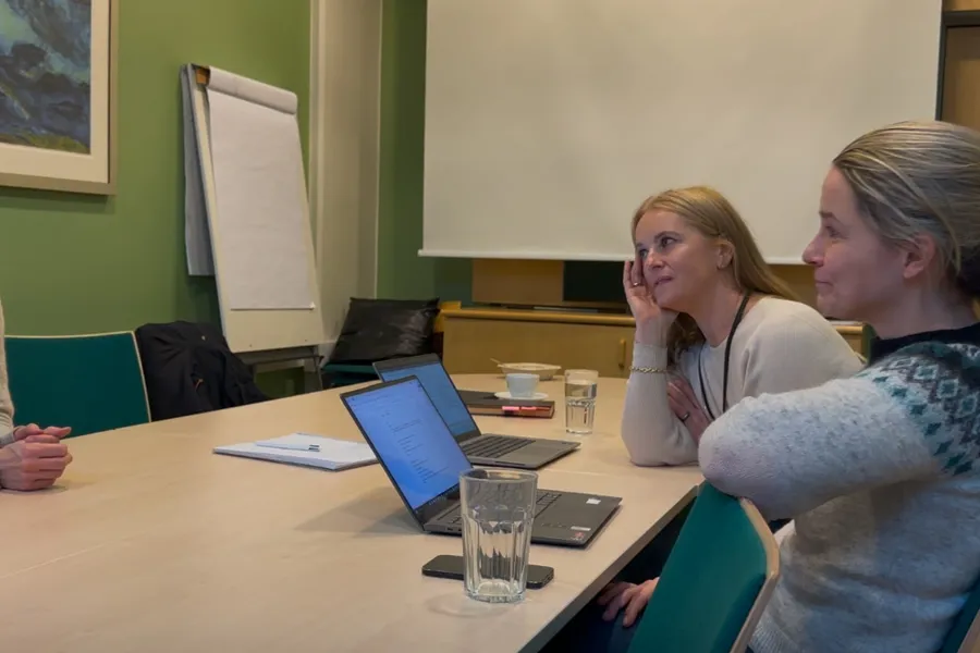 En gruppe kvinner som sitter rundt et bord