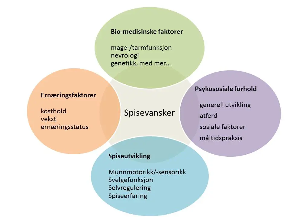 En figur som viser spisevansker: Bio-medisinske faktorer: mage-/tarmfunksjon, nevrologi, genetikk, med mer. Ernæringsfaktorer: kosthold, vekst og ernæringsstatus. Psykososiale forhold: generell utvikling, atferd, sosiale faktorer og måltidspraksis. Spiseutvikling: munnmotorikk/-sensorikk, svelgefunksjon, selvregulering og spiseerfaring.