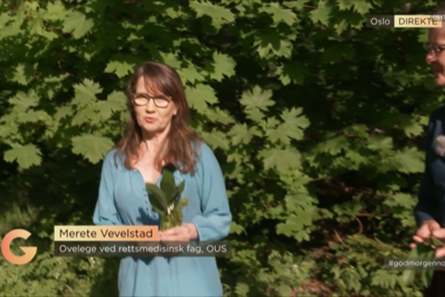 Bilde fra TV 2-sending