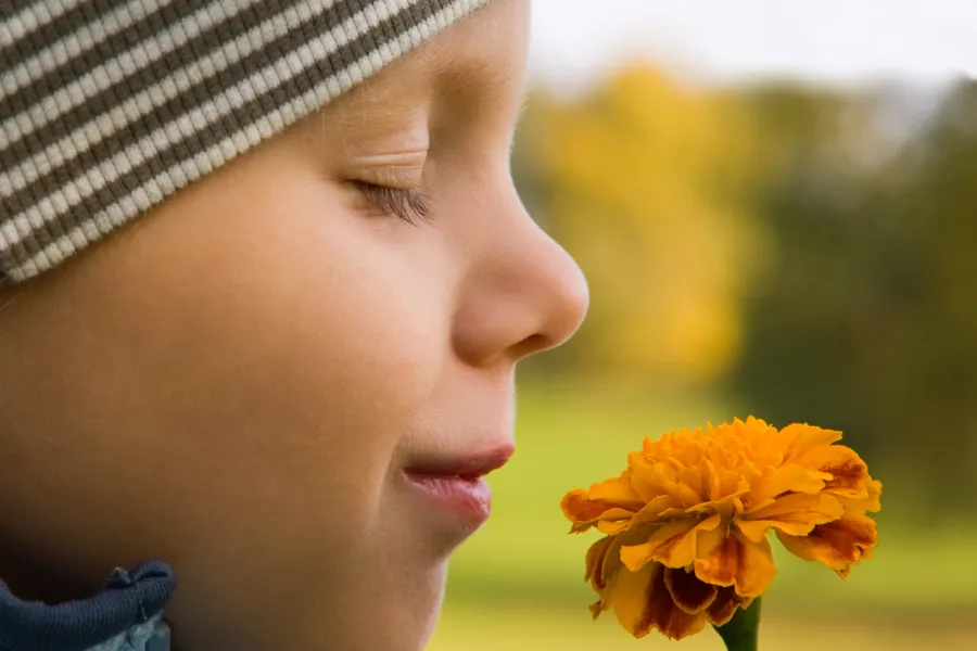 A boy who smells a flower.